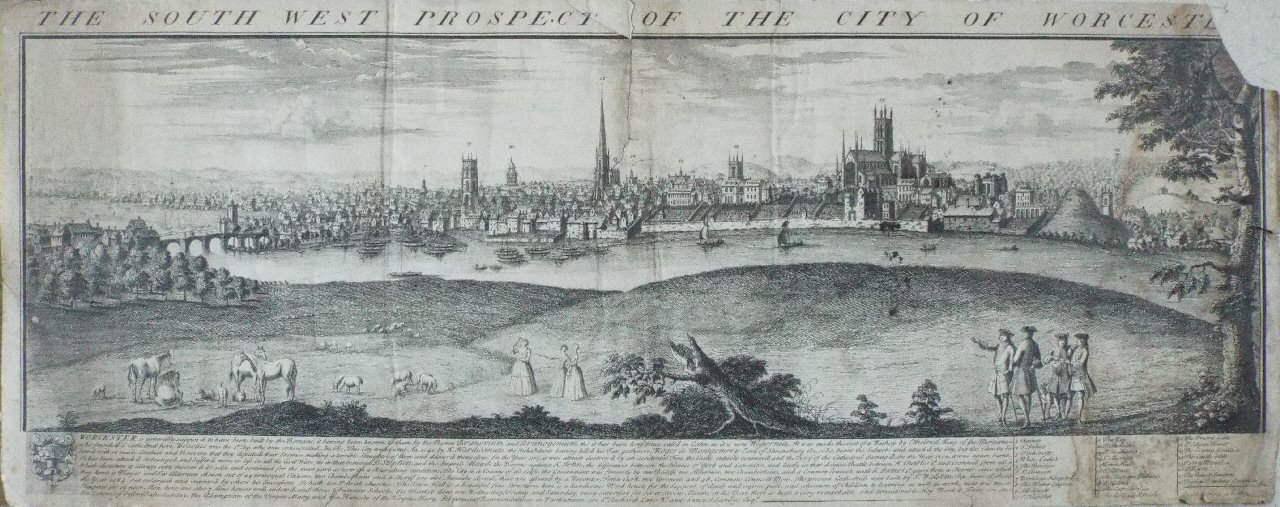 Print - The South West Prospect of the City of Worcester. - Buck